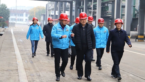 袁衛(wèi)東到股份、楚星和新項(xiàng)目現(xiàn)場(chǎng)調(diào)研(圖1)