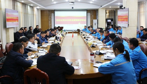 王大真調(diào)研指導(dǎo)股份公司、化機(jī)公司和TMP新項(xiàng)目2020年財(cái)務(wù)預(yù)算工作(圖1)