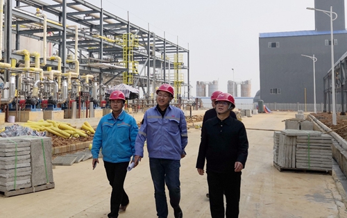 王大真到松滋肥業(yè)、楚星公司、新材料公司和股份公司現(xiàn)場調(diào)研(圖3)
