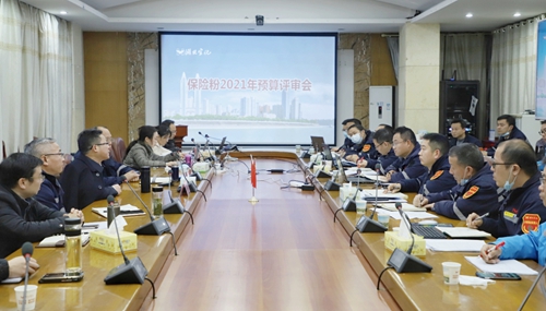 王大真到新材料公司、TPO項目現場和股份公司檢查工作(圖3)