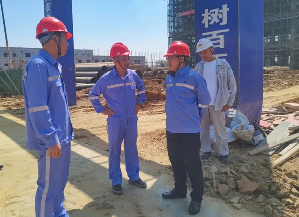 王大真到雙環(huán)公司和田家河氨醇項目現(xiàn)場調研(圖1)