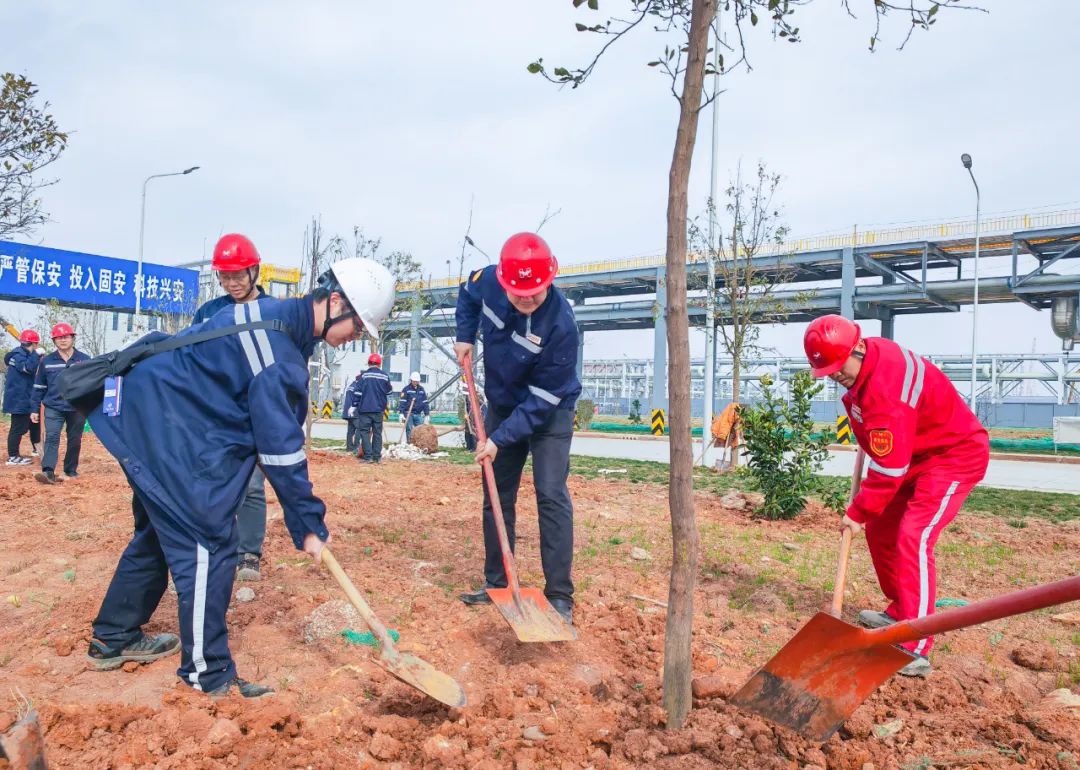 “植”此青綠共“樹”未來！集團(tuán)各公司開展植樹活動(dòng)(圖10)