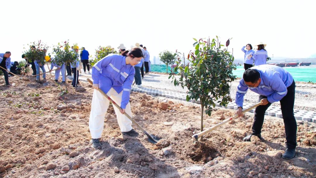 “植”此青綠共“樹”未來！集團(tuán)各公司開展植樹活動(dòng)(圖16)