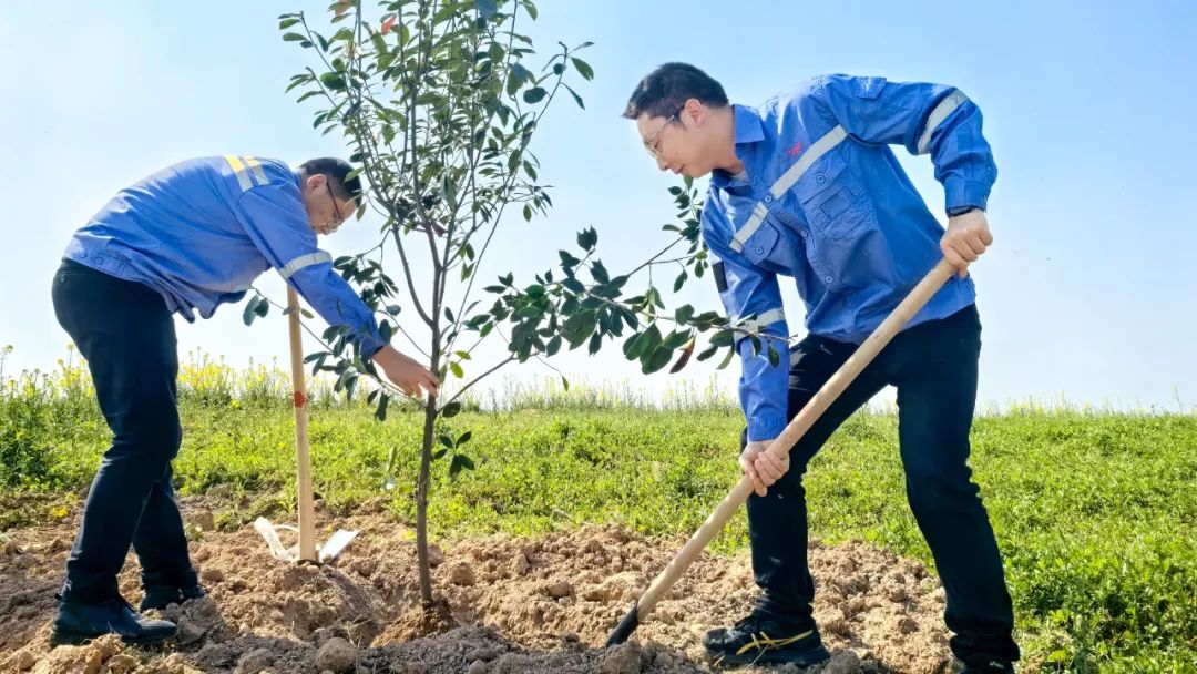 “植”此青綠共“樹”未來！集團(tuán)各公司開展植樹活動(dòng)(圖15)