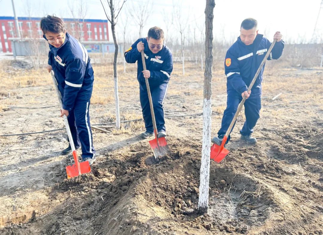 “植”此青綠共“樹”未來！集團(tuán)各公司開展植樹活動(dòng)(圖20)