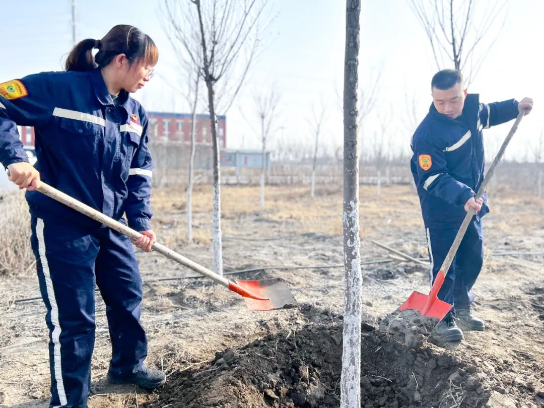 “植”此青綠共“樹”未來！集團(tuán)各公司開展植樹活動(dòng)(圖21)