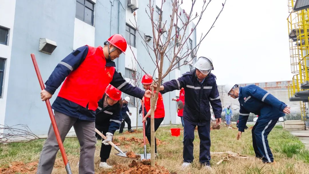 “植”此青綠共“樹”未來！集團(tuán)各公司開展植樹活動(dòng)(圖26)