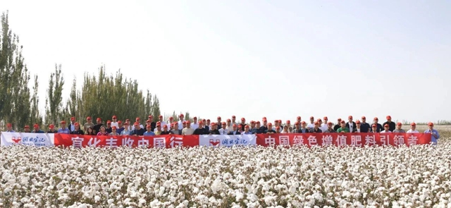 宜化豐收中國行！新疆棉花大型測產(chǎn)觀摩會成功舉行