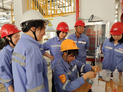 亮身份 亮承諾 亮業(yè)績(jī)——宜化黨員一線攻堅(jiān)助推項(xiàng)目“拔節(jié)生長(zhǎng)”(圖1)