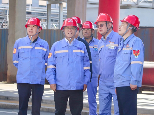 王大真到新疆、青海區(qū)域分子公司現(xiàn)場(chǎng)辦公(圖2)