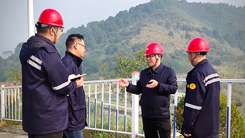 王大真到松滋肥業(yè)、楚星公司、新材料公司和股份公司現(xiàn)場(chǎng)調(diào)研