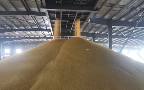 新年新氣象！楚星公司黃色磷酸二銨產(chǎn)品成功下線