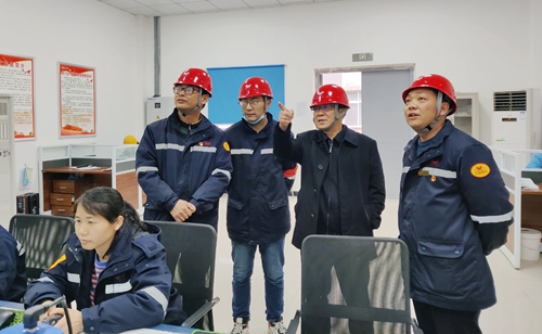 王大真到松滋肥業(yè)、楚星公司現(xiàn)場檢查指導(dǎo)工作