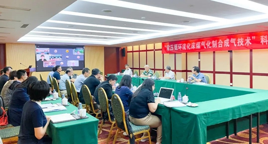 通過鑒定！新疆宜化一項技術達國際領先水平！