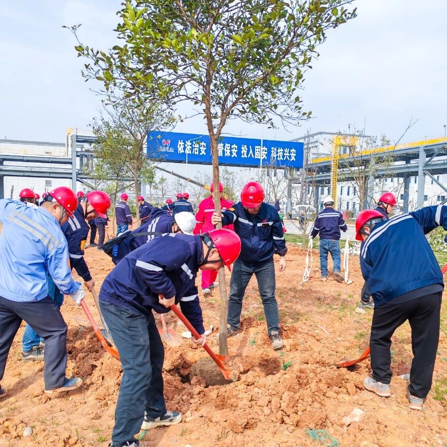 “植”此青綠共“樹”未來！集團(tuán)各公司開展植樹活動